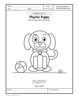 Puppy Palette Play: 6 Wonderful Ball-and-Collar Ideas