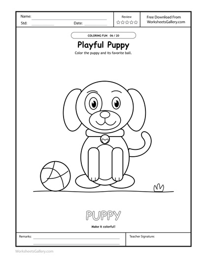 Puppy Palette Play: 6 Wonderful Ball-and-Collar Ideas