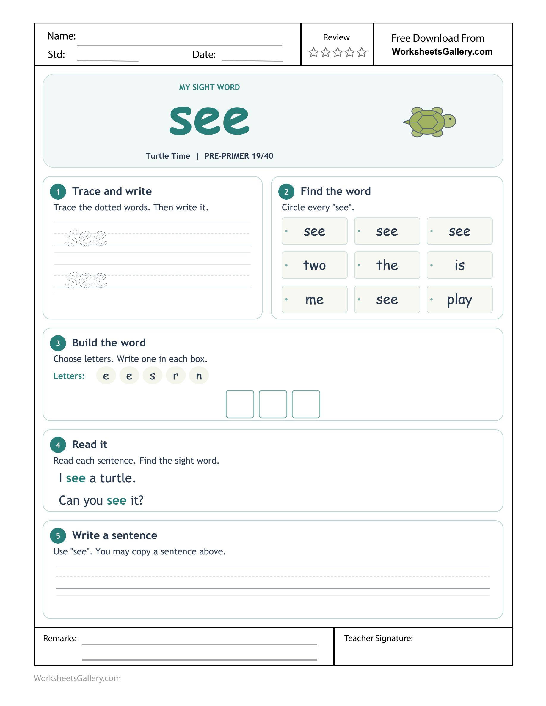 See Word Evidence: 5 Powerful Turtle-Reading Activities