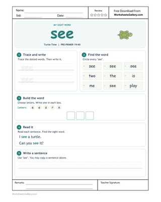 See Word Evidence: 5 Powerful Turtle-Reading Activities