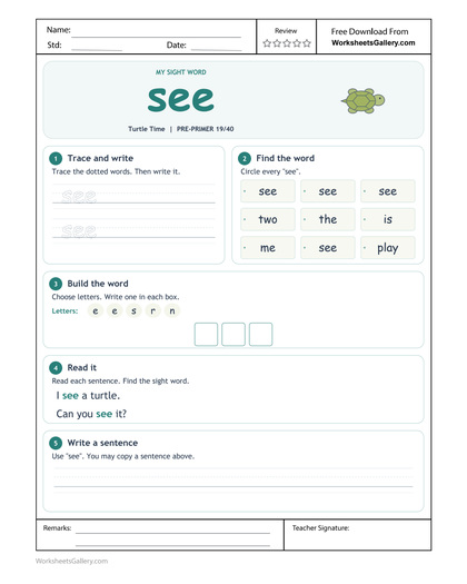 See Word Evidence: 5 Powerful Turtle-Reading Activities