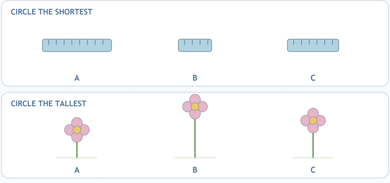 Size Workshop Choices — shortest and tallest demands The middle rows switch from ruler length to flower height.