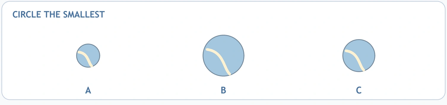 Size Workshop Choices — smallest ball choice Three differently sized ball pictures sit above A, B and C.
