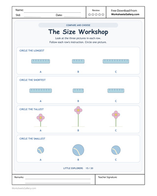 Size Workshop Choices: 4 Wonderful Comparison Rules