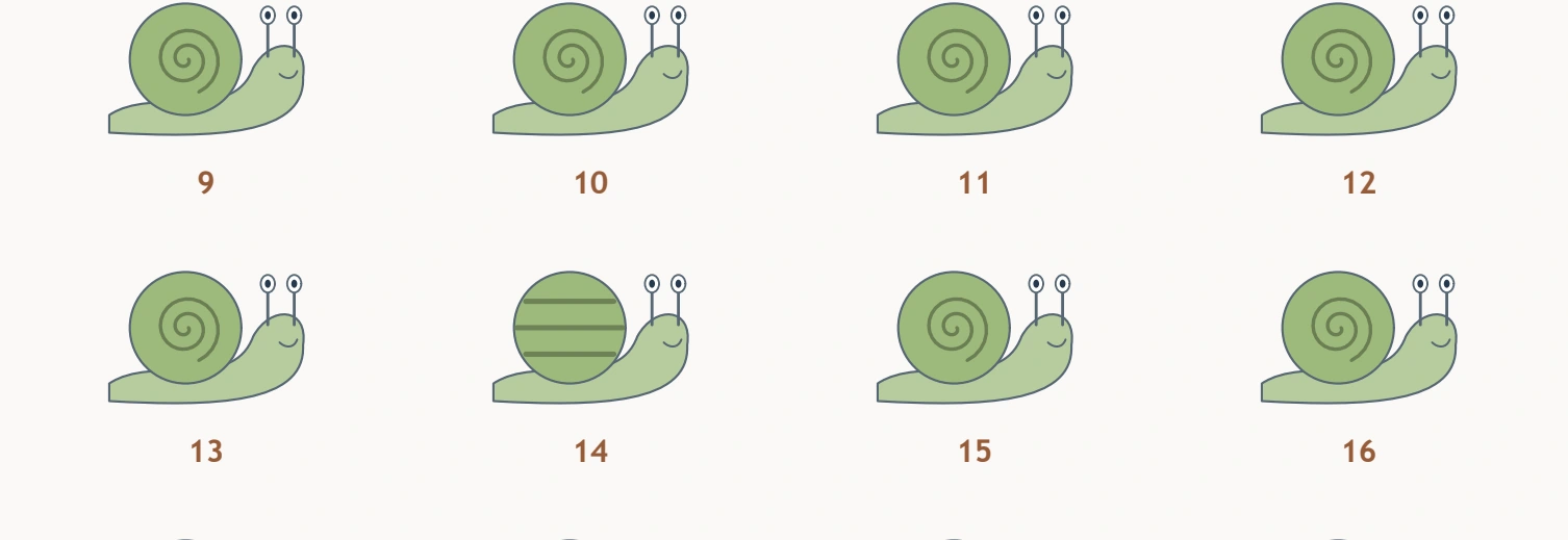 Snail Shell Search — middle shell comparison Snails nine through sixteen include the striped shell at number fourteen.