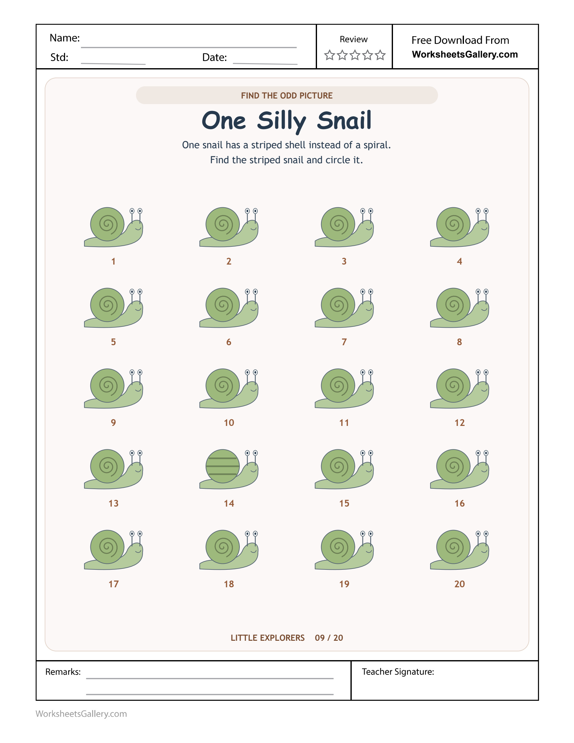 Snail Shell Search: 20 Clever Pattern Inspections