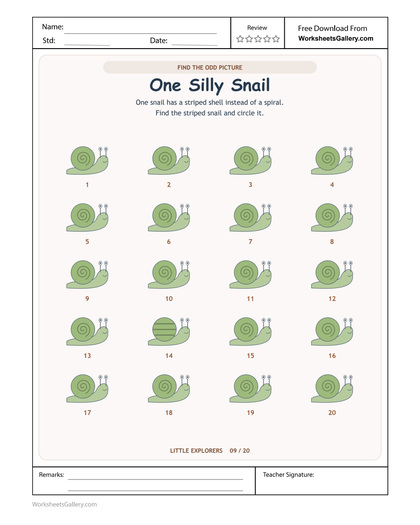 Snail Shell Search: 20 Clever Pattern Inspections