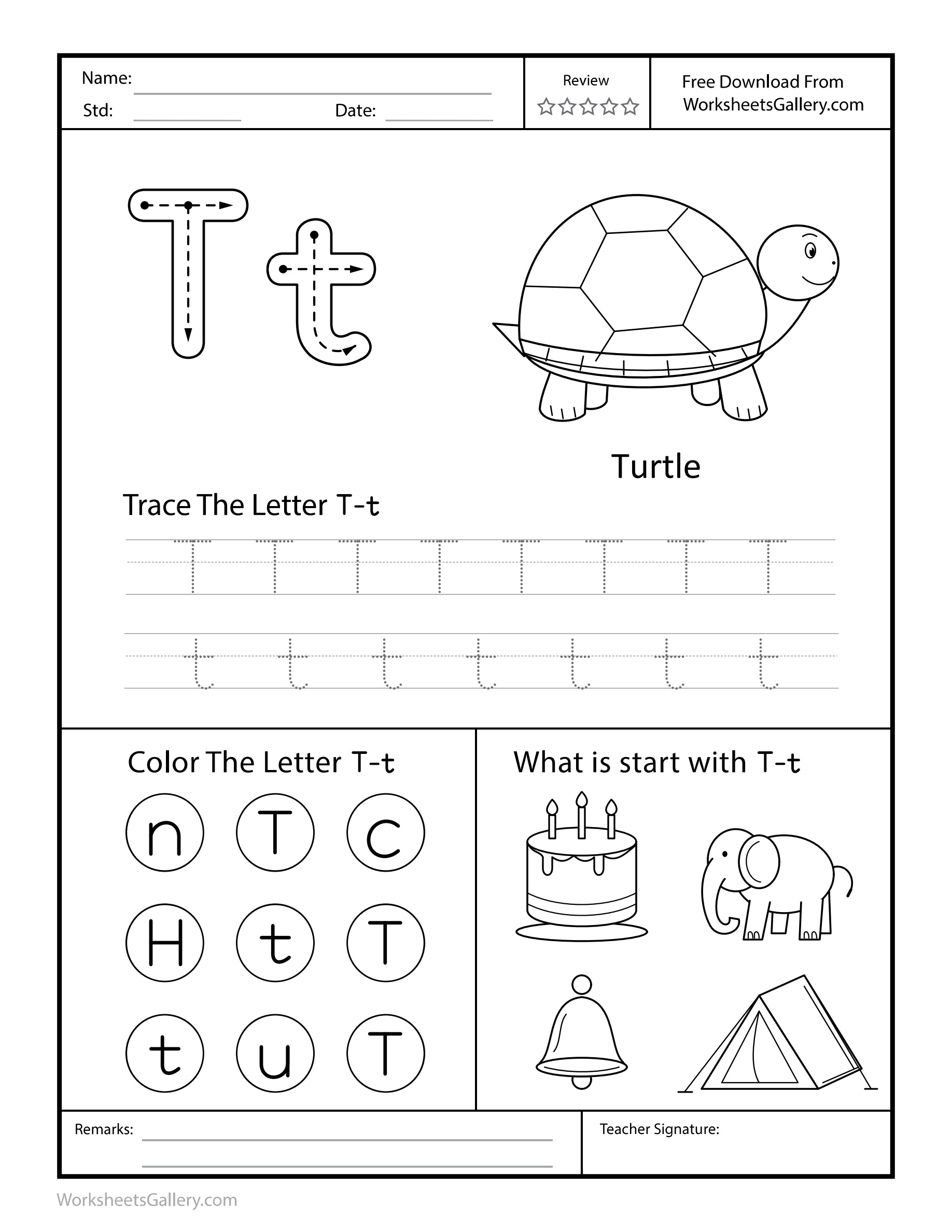 Turtle Tent: 5 Brilliant Letter T Moments of Joy