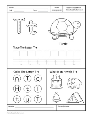 Turtle Tent: 5 Brilliant Letter T Moments of Joy