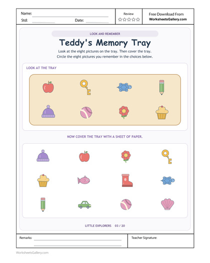 Teddy Tray Recall: 8 Wonderful Memory Discoveries
