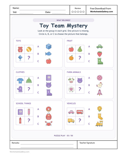 Toy Team Categories: 6 Clever Picture Group Mysteries