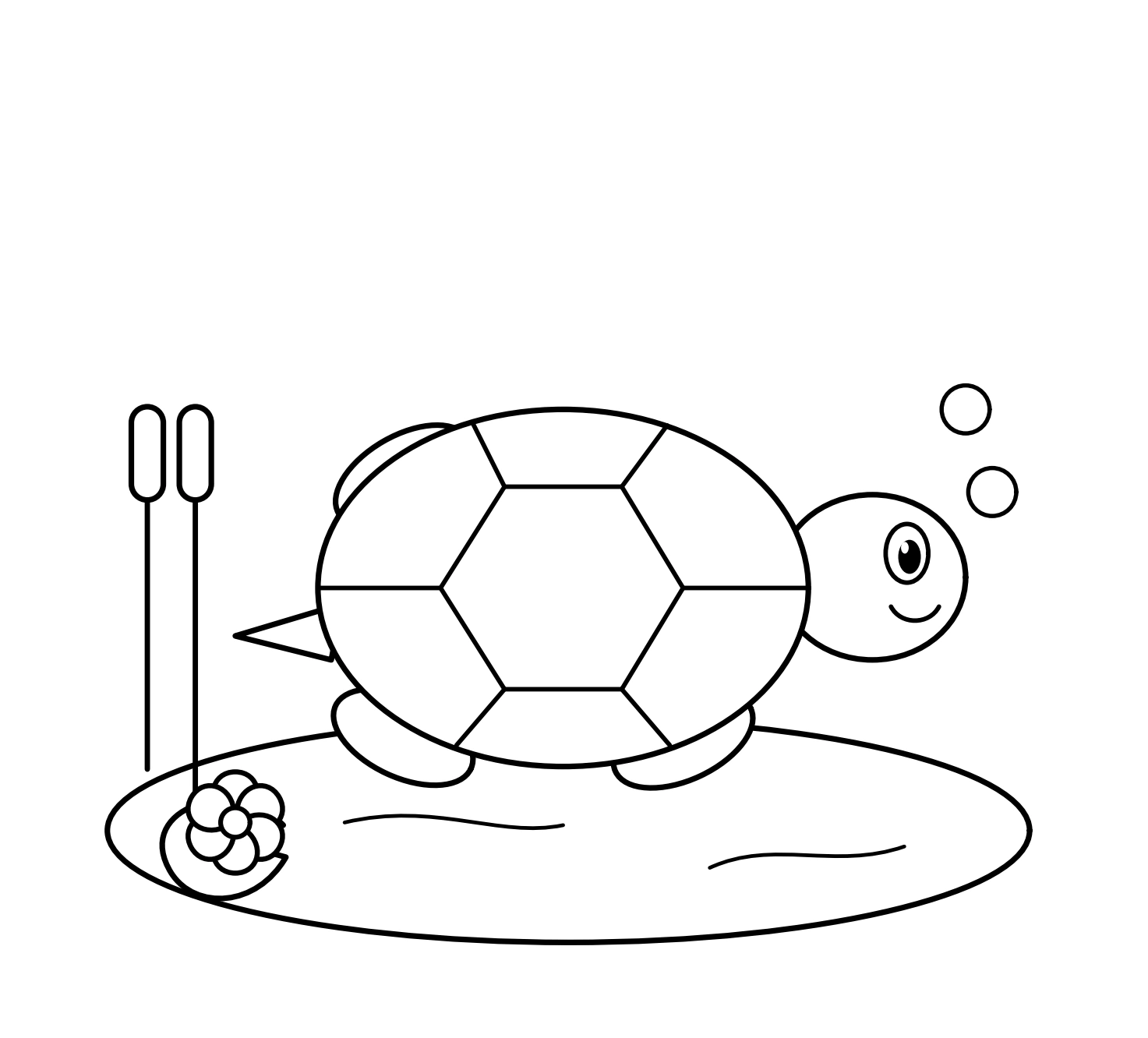 Turtle above an oval pond with plants and small bubbles