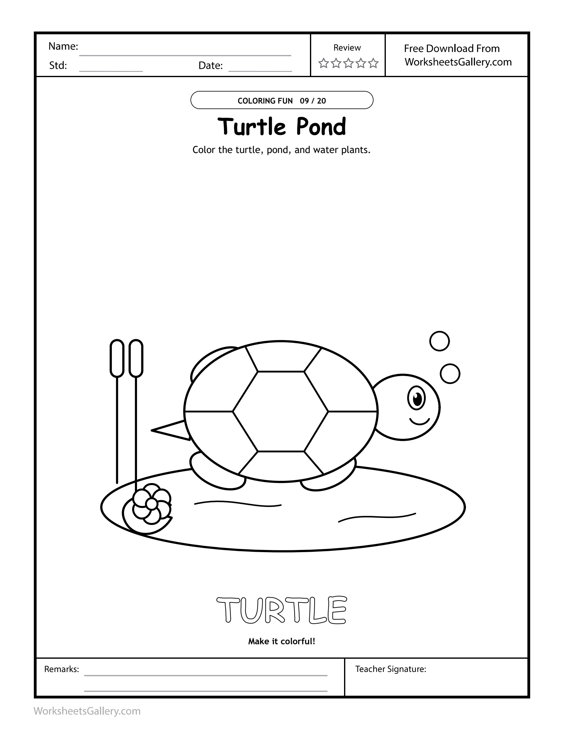 Turtle Shell Colors: 6 Brilliant Pond-Mosaic Games