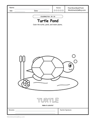 Turtle Shell Colors: 6 Brilliant Pond-Mosaic Games