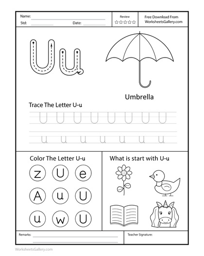 Umbrella and Unicorn: 4 Powerful Letter U Wins