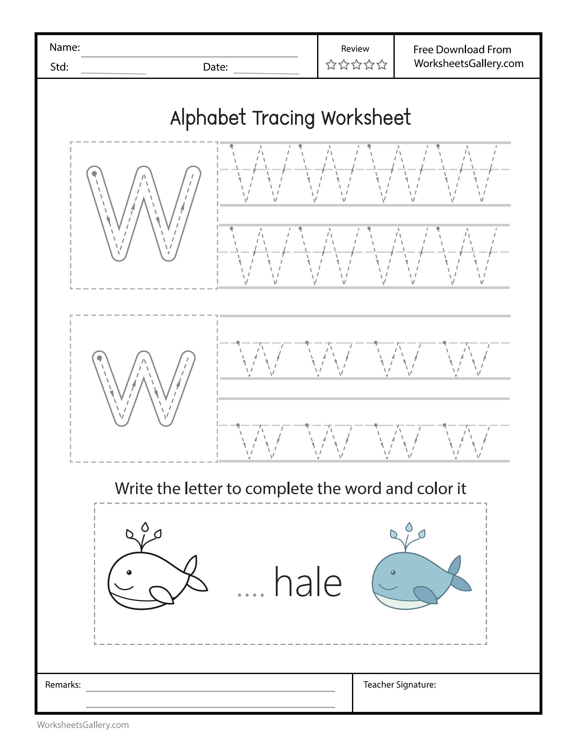 Ww Worksheet: 6 Brilliant Whale Valley Mapping Tasks