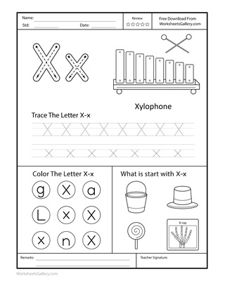 Crossing Paths: 4 Powerful Letter X Wins to Explore