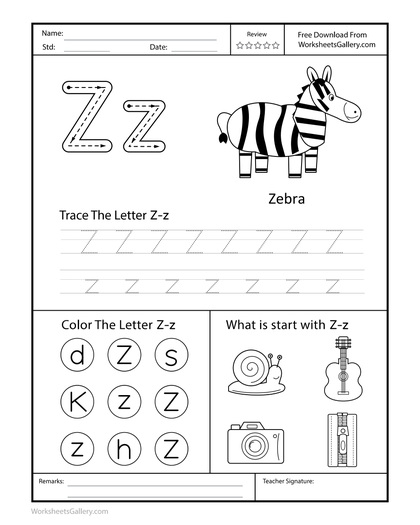 Zebra Zip: 6 Powerful Letter Z Games for a Happy End