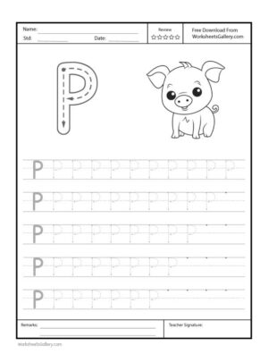 Capital Letter "P" Free Printable Worksheet for Preschool featuring a traceable letter "P" and a pig drawing for coloring.