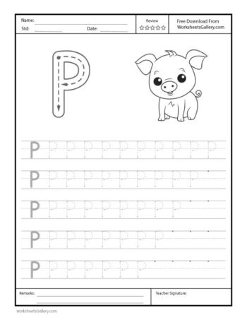 Capital Letter P Free Printable Worksheet For Preschool