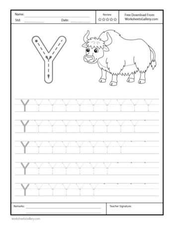 Capital Letter Y Free Printable Worksheet for Preschool