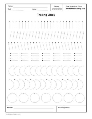 Tracing Lines And Curves Free Printable Worksheet For Preschool